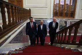 دیدار علی لاریجانی با وزیر خارجه سابق آلمان