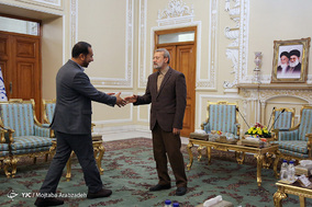 دیدار علی لاریجانی با وزیر خارجه سابق آلمان