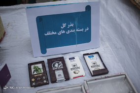 طرح رعد ۱۸ پلیس پایتخت