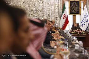 دیدار رییس گروه دوستی پارلمان سوریه با رییس مجلس