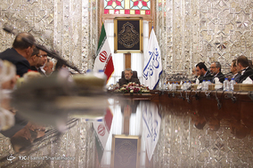 دیدار رییس گروه دوستی پارلمان سوریه با رییس مجلس