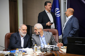سیزدهمین جلسه کار‌ گروه تنظیم بازار