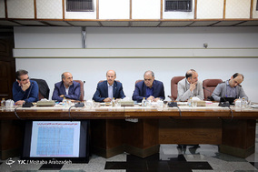 سیزدهمین جلسه کار‌ گروه تنظیم بازار
