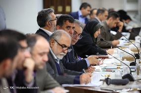سیزدهمین جلسه کار‌ گروه تنظیم بازار