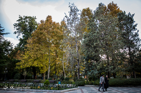 به رنگِ پاییز
