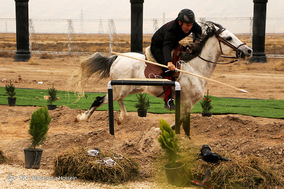 مسابقات جهانی رزم سواره در شیراز