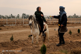 مسابقات جهانی رزم سواره در شیراز
