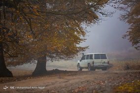 طبیعت پاییزی مازندران