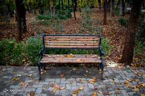 پاییز در پایتخت