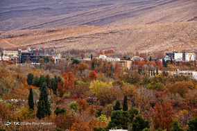 طبیعت پاییزی شیراز