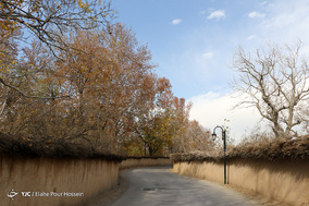 طبیعت پاییزی شیراز