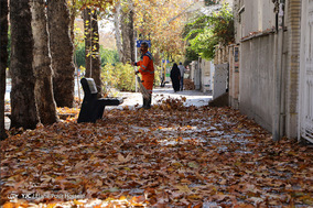 طبیعت پاییزی شیراز