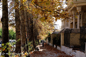 طبیعت پاییزی شیراز