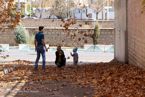 طبیعت پاییزی شیراز