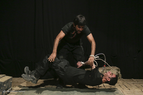 نمایش «تاکسیدرمی»