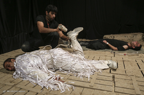 نمایش «تاکسیدرمی»