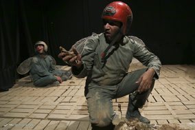 نمایش «تاکسیدرمی»