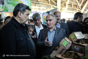 یازدهمین نمایشگاه محصولات غذایی ارگانیک