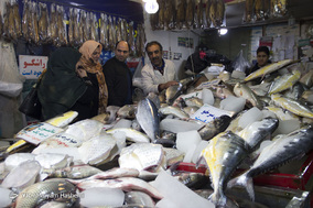 بازار ماهی تهران در آستانه شب یلدا