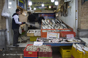 بازار ماهی تهران در آستانه شب یلدا