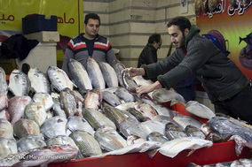 بازار ماهی تهران در آستانه شب یلدا