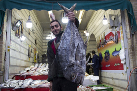 بازار ماهی تهران در آستانه شب یلدا
