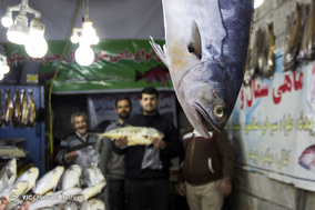 بازار ماهی تهران در آستانه شب یلدا