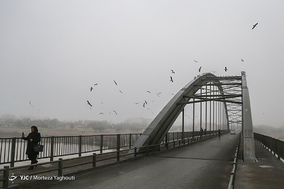 پرندگان مهاجر کارون