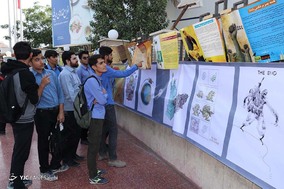 بزرگداشت حماسه ۹ دی - بندرعباس
