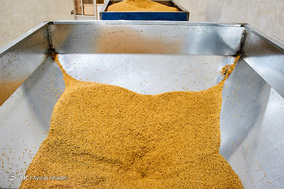 کارگاه سنتی ارده سازی