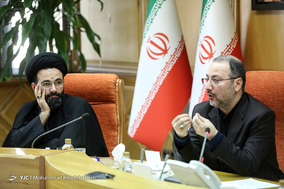 یکصد و سیزدهمین جلسه شورای اجتماعی کشور