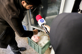 گشت بازرسی اتاق اصناف تهران در واحدهای صنفی مرغ و گوشت