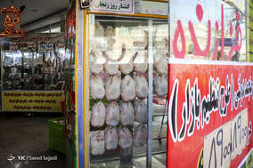 گشت بازرسی اتاق اصناف تهران در واحدهای صنفی مرغ و گوشت
