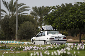 زمستان بهاری جزیره کیش