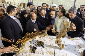 سفر معاون اول رئیس جمهور به همدان
