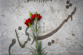 آیین میهمانی لاله‌ها در بهشت زهرا(س)