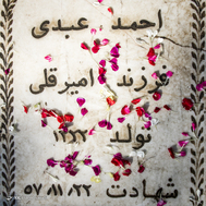 در بهار آزادی جای شهدا خالیست...