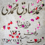 در بهار آزادی جای شهدا خالیست...