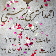 در بهار آزادی جای شهدا خالیست...