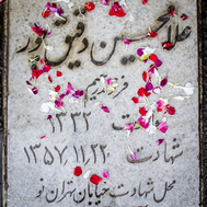 در بهار آزادی جای شهدا خالیست...