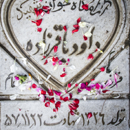 در بهار آزادی جای شهدا خالیست...