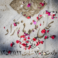 در بهار آزادی جای شهدا خالیست...