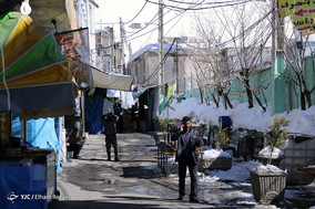 منظره برفی امامزاده داوود (ع)