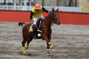 اولین دوره جام چوگان باشگاه‌های کشور
