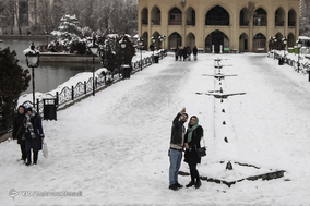 تبریز سپید