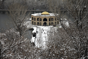 تبریز سپید