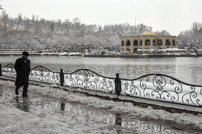 تبریز سپید