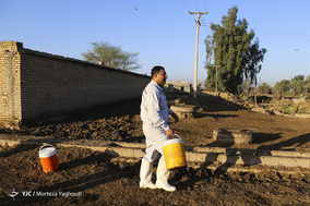 واکسیناسیون تب برفکی در روستای سید حسن شهر الهایی