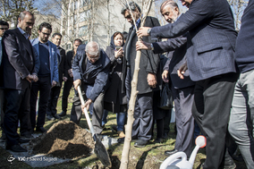 غرس نهال توسط پبروز حناچی، شهردار تهران و محمد سعیدی‌کیا، رئیس بنیاد مستضفان در باغ عبقری واقع در منطقه ۲ تهران