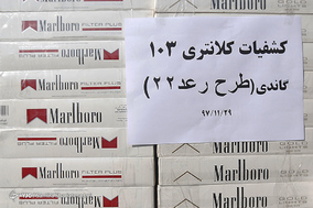 طرح رعد ۲۲ پلیس پیشگیری پایتخت